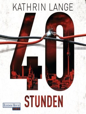 cover image of 40 Stunden